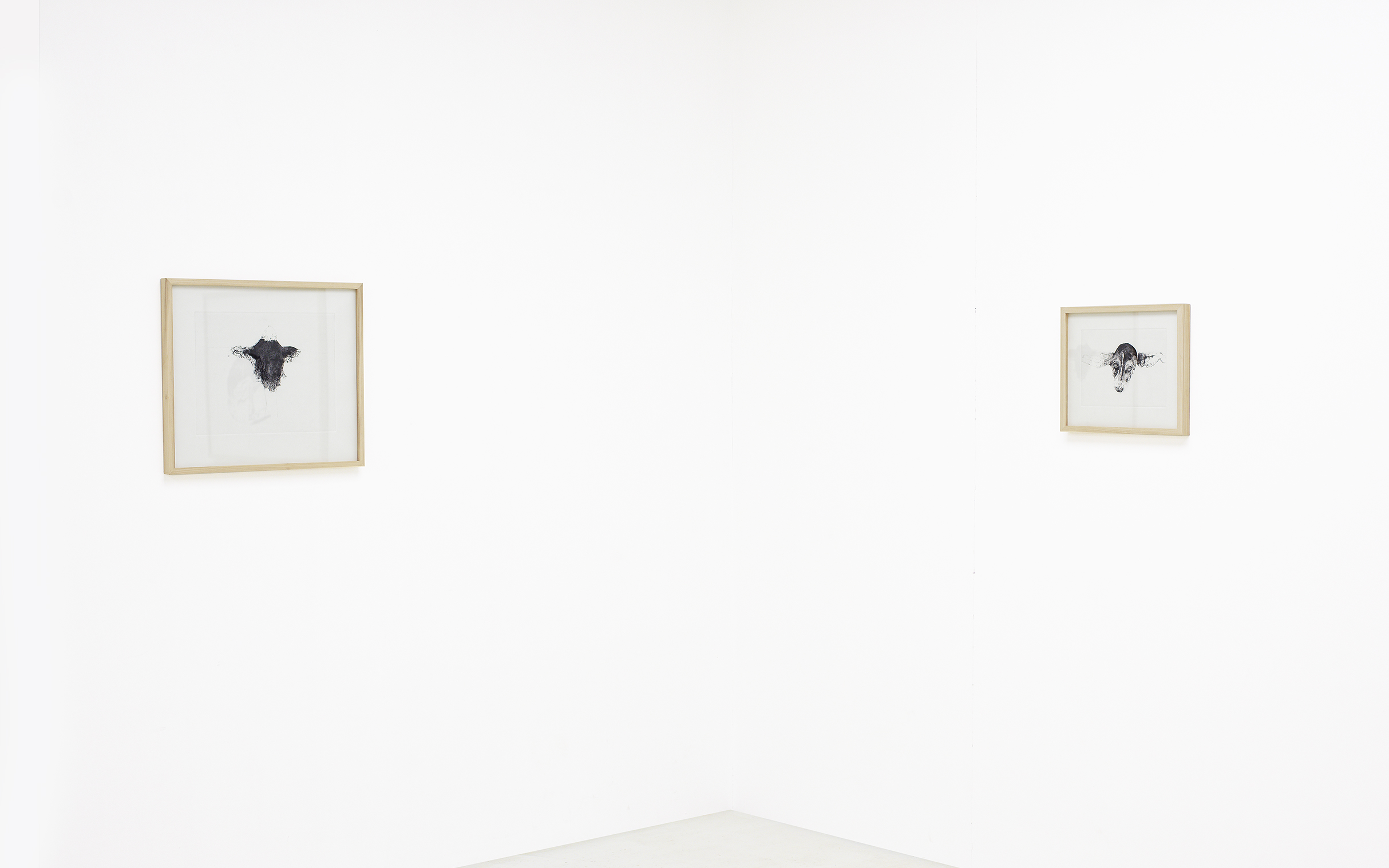 Installation View 15