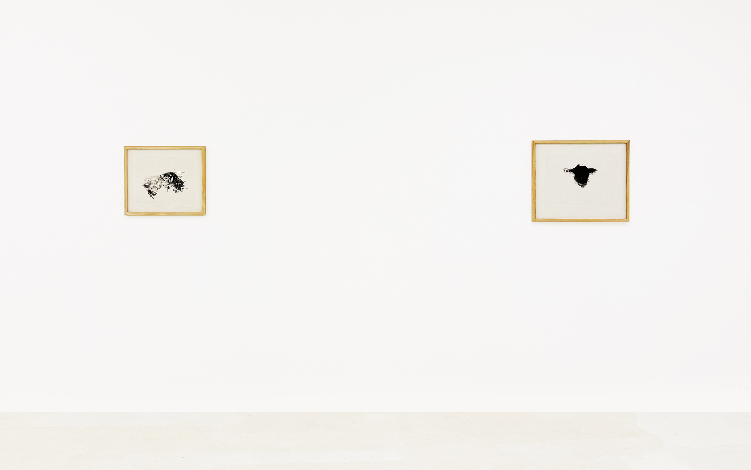 Installation View 18