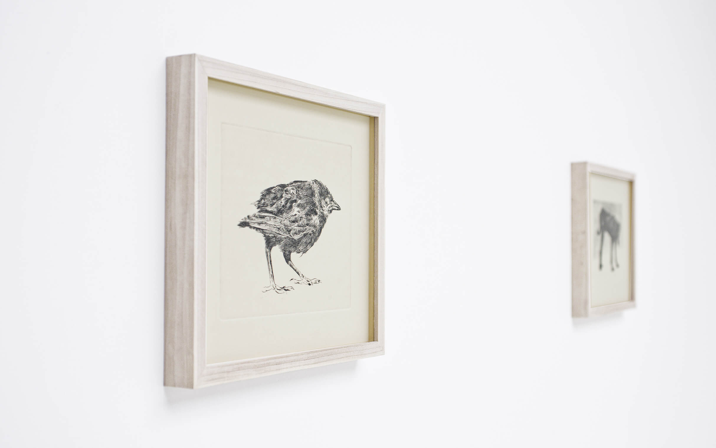 Installation View 21